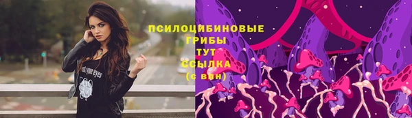 соль ск Володарск