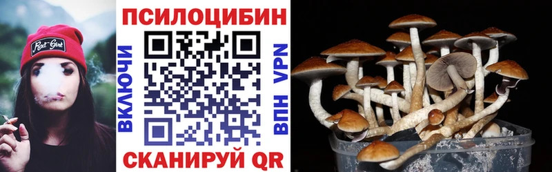 Купить закладки  Кондопога  Псилоцибиновые грибы ЛСД 